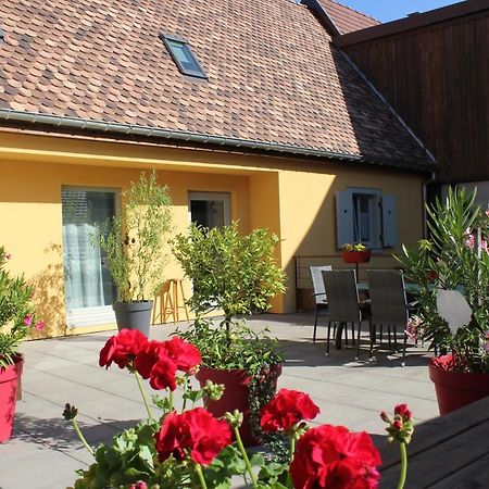 Gite Le Cep D'Or Alsace Saint-Hippolyte  Ngoại thất bức ảnh