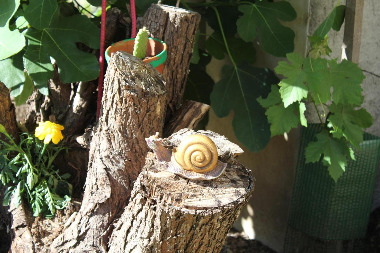 Gite Le Cep D'Or Alsace Saint-Hippolyte  Ngoại thất bức ảnh