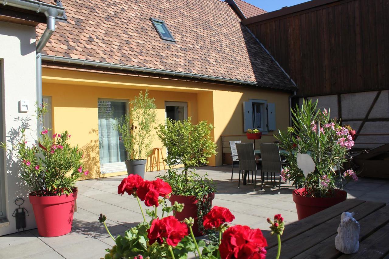 Gite Le Cep D'Or Alsace Saint-Hippolyte  Ngoại thất bức ảnh